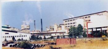 Ngành giấy